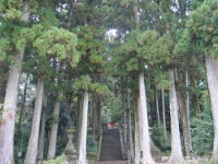 JAPAN-ISRAEL NIKKO PARK